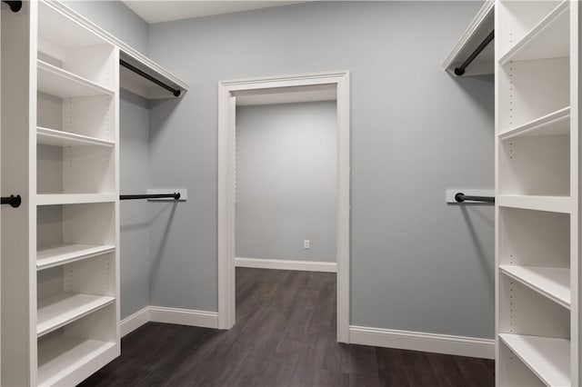 spacious closet with dark wood-type flooring