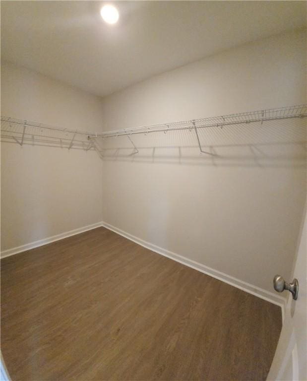 walk in closet featuring dark wood-type flooring