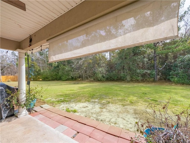 view of yard with a patio area