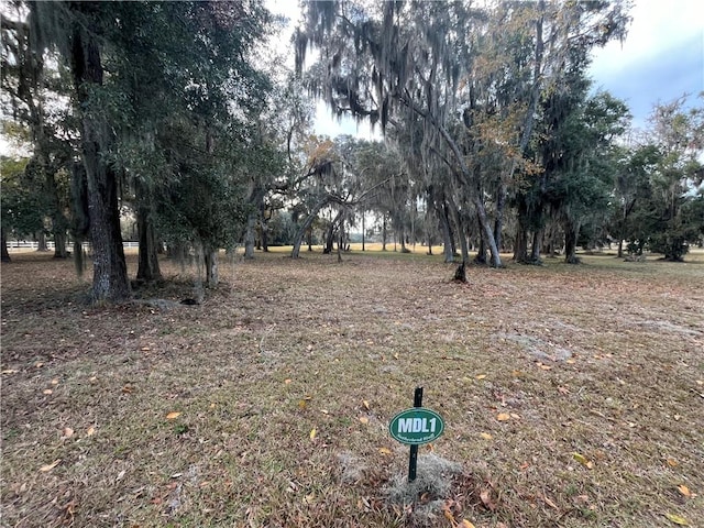 Listing photo 3 for LOT1 Marshview Dr NE, Townsend GA 31331