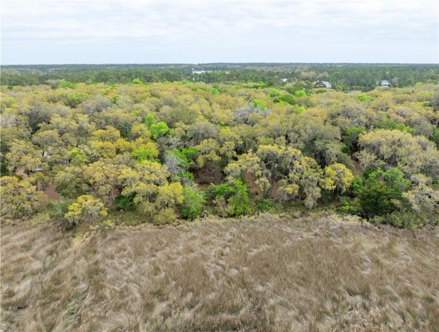 Listing photo 3 for 36 Somerset Trce, Saint Simons Island GA 31522