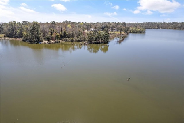 water view featuring a view of trees