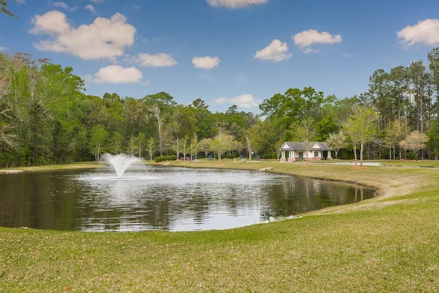 view of water feature