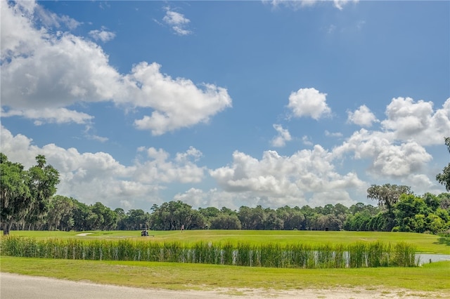 LOT6 Sutherland Bluff Dr, Townsend, GA 31331