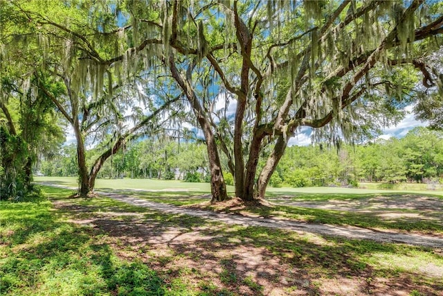 LOT6 Sutherland Bluff Dr, Townsend, GA 31331