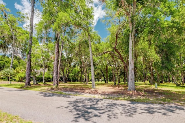 LOT6 Sutherland Bluff Dr, Townsend, GA 31331