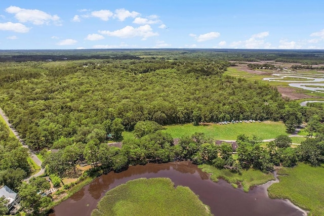 1020 NE Pine Point Ln, Townsend, GA 31331 - drone / aerial view of a forest and a large body of water