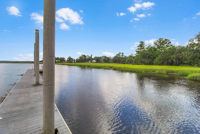 1020 NE Pine Point Ln, Townsend, GA 31331 - dock featuring a water view