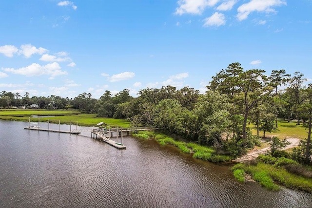 1020 NE Pine Point Ln, Townsend, GA 31331 - water view with a boat dock