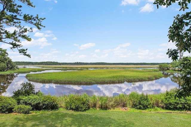 1020 NE Pine Point Ln, Townsend, GA 31331 - water view