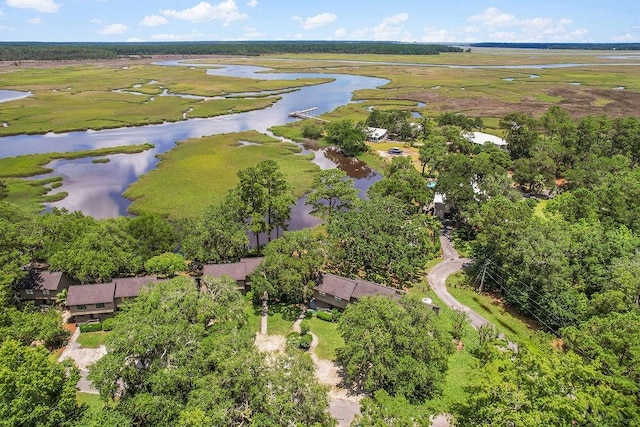 1020 NE Pine Point Ln, Townsend, GA 31331 - bird's eye view of a large body of water
