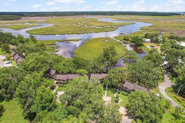 1020 NE Pine Point Ln, Townsend, GA 31331 - bird's eye view of a large body of water