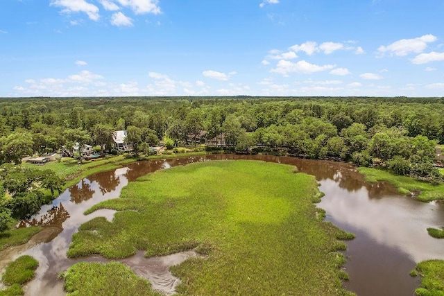 1020 NE Pine Point Ln, Townsend, GA 31331 - aerial view of a nearby body of water