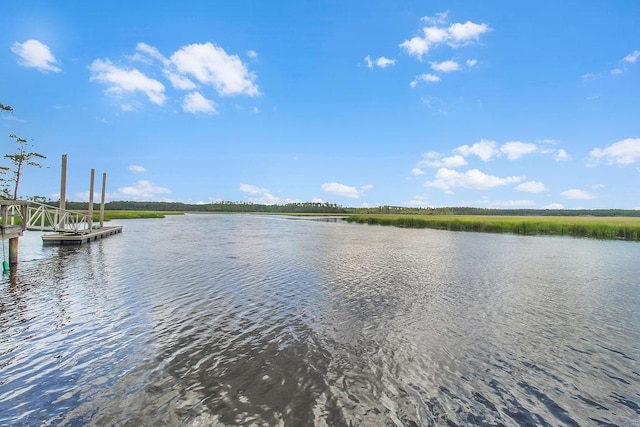 1020 NE Pine Point Ln, Townsend, GA 31331 - water view with a floating dock