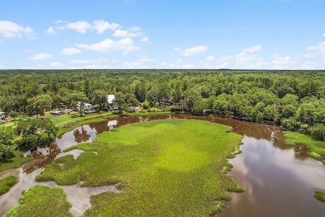 1020 NE Pine Point Ln, Townsend, GA 31331 - drone / aerial view of a forest and a nearby body of water