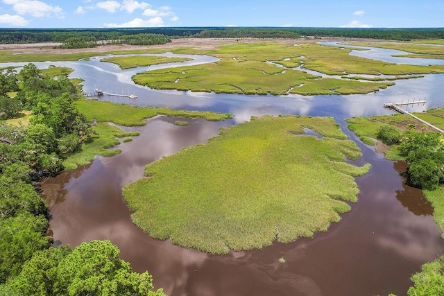 1020 NE Pine Point Ln, Townsend, GA 31331 - bird's eye view of a nearby body of water