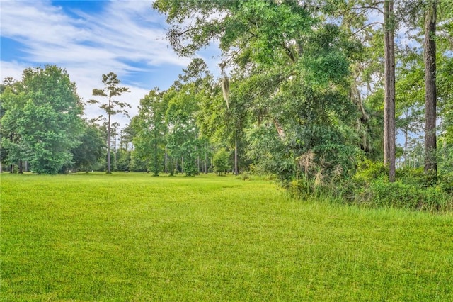 Listing photo 3 for LOT27TRANQUILITY Baker Island Way, Townsend GA 31331