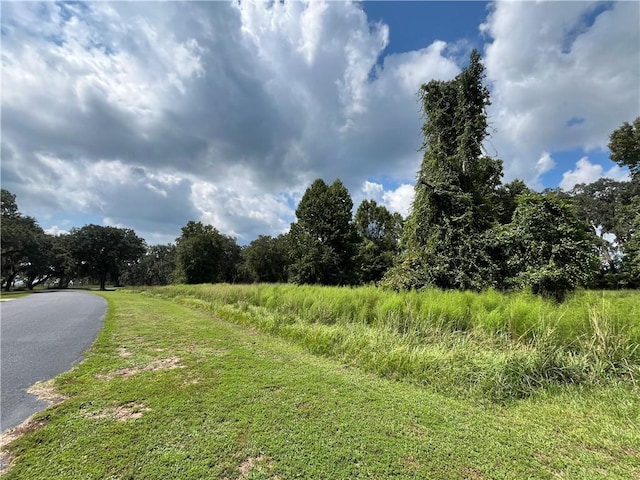 Listing photo 2 for LOT230 Coopers Landing Dr, Townsend GA 31331