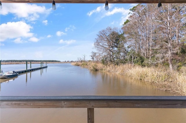 property view of water with a boat dock