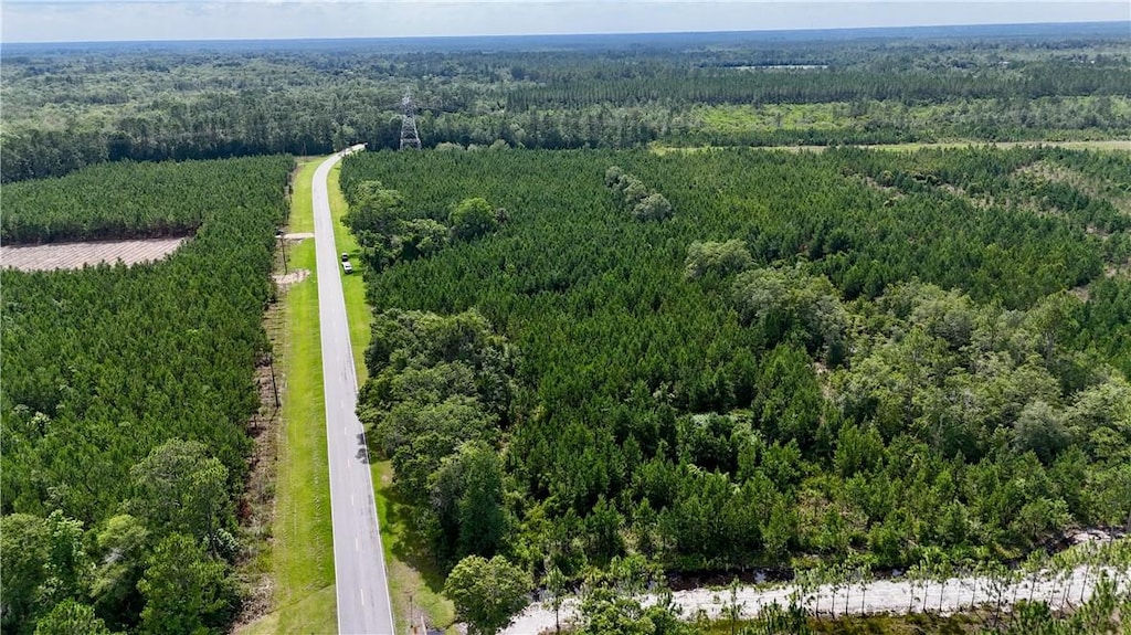 TRACT1 Trudie Rd, Blackshear, GA 31516