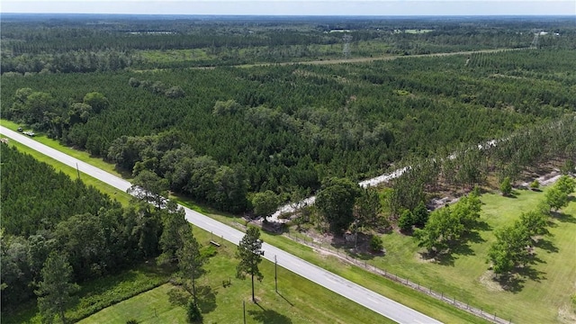 TRACT1 Trudie Rd, Blackshear, GA 31516