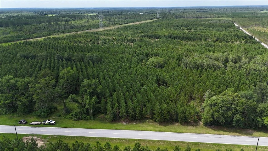 TRACT1 Trudie Rd, Blackshear, GA 31516