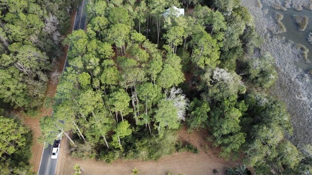 LOT129 Julienton Dr NE, Townsend, GA 31331 - photo 27