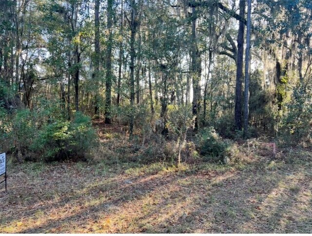 LOT129 Julienton Dr NE, Townsend, GA 31331 - photo 24