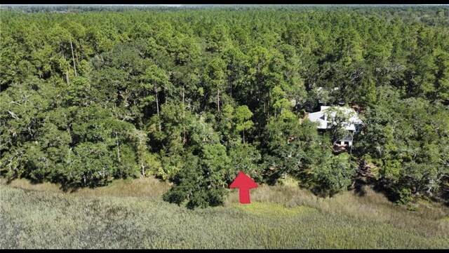 LOT129 Julienton Dr NE, Townsend, GA 31331 - photo 28