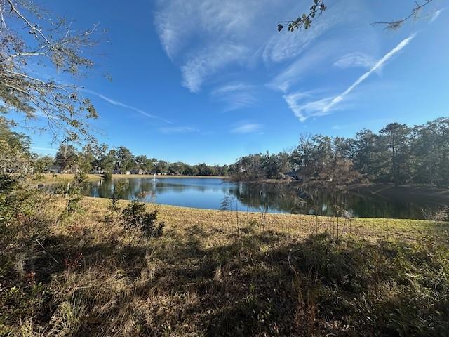 Listing photo 2 for V/L276 Harbour Island Cir, Waverly GA 31565