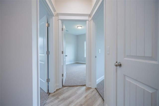 860 Kaitlyn Ave, Odum, GA 31555 - hall with light hardwood / wood-style floors