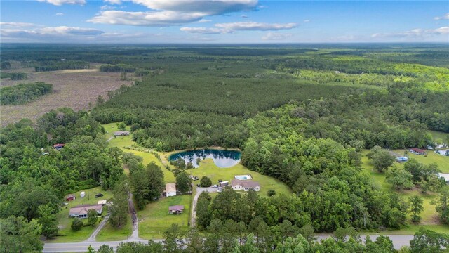 25035 US Highway 17, Waverly, GA 31565