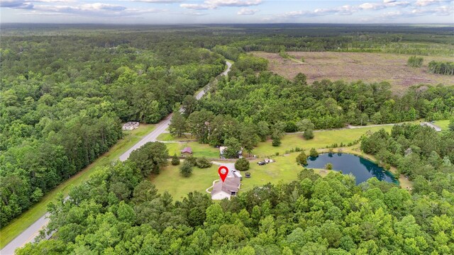 25035 US Highway 17, Waverly, GA 31565