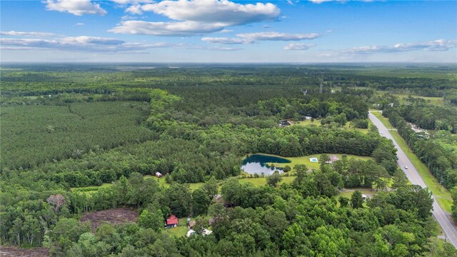 25035 US Highway 17, Waverly, GA 31565