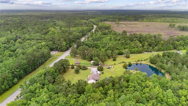 25035 US Highway 17, Waverly, GA 31565