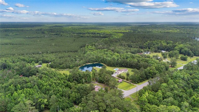 25035 US Highway 17, Waverly, GA 31565