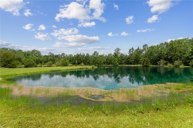 25035 US Highway 17, Waverly, GA 31565