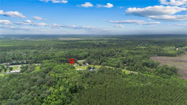 25035 US Highway 17, Waverly, GA 31565