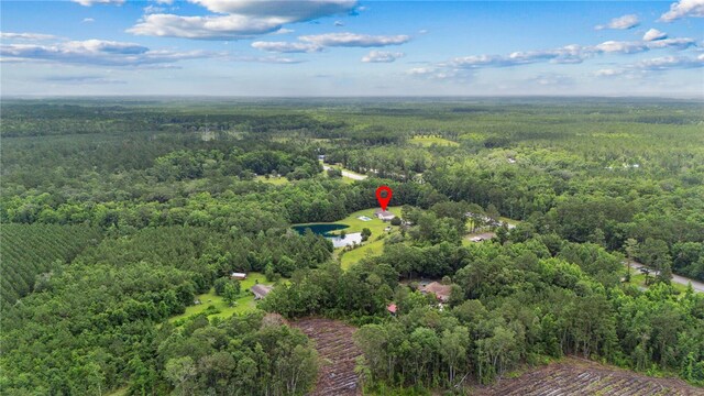 25035 US Highway 17, Waverly, GA 31565