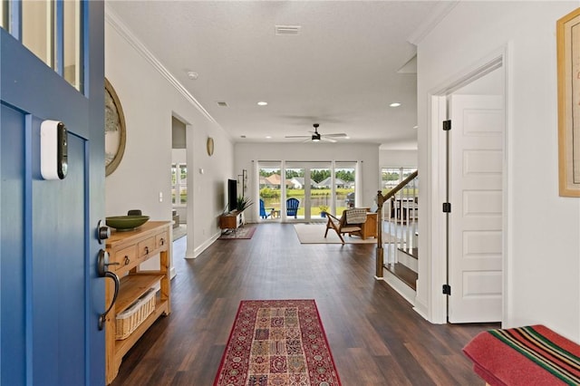 foyer entrance featuring ceiling fan, dark hardwood / wood-style flooring, and crown molding