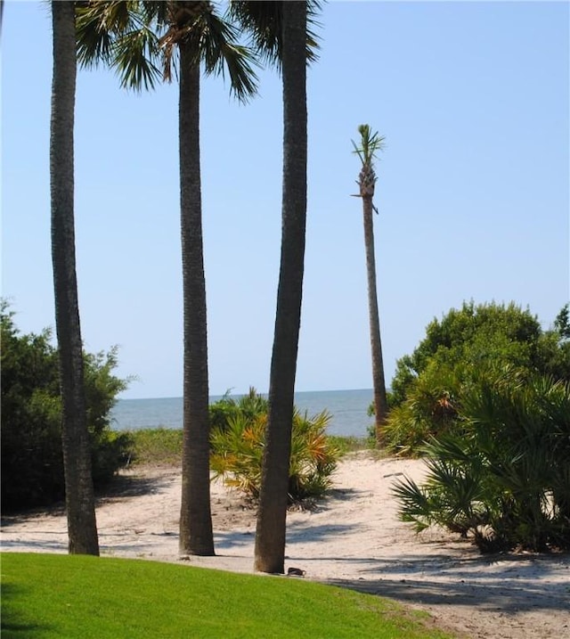 view of water feature