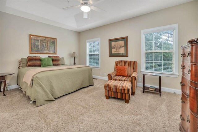 bedroom featuring multiple windows, carpet flooring, ceiling fan, and a tray ceiling