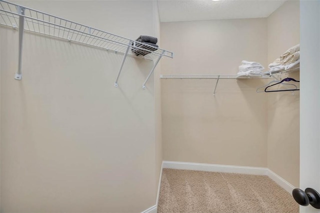 walk in closet with light colored carpet