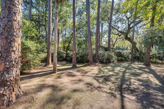 753 N Riverview Dr, Jekyll Island, GA 31527 - view of yard