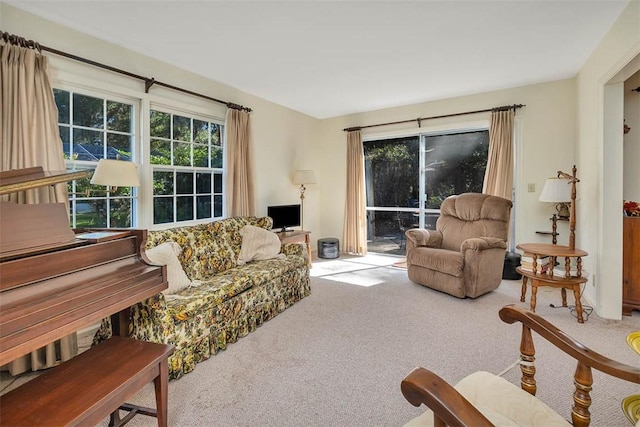 living room featuring carpet floors