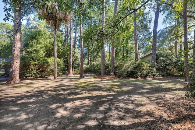 753 N Riverview Dr, Jekyll Island, GA 31527 - view of yard