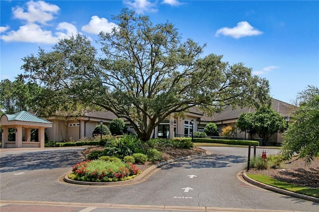 view of front of house featuring curved driveway