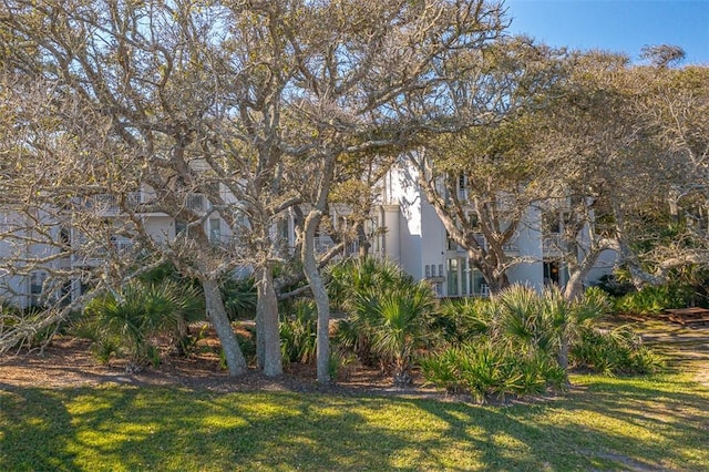 1175 N Beachview Dr Unit 279, Jekyll Island, GA 31527 - view of green lawn