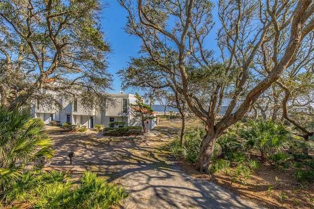 1175 N Beachview Dr Unit 279, Jekyll Island, GA 31527 - view of yard