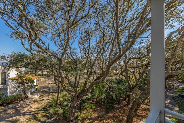 1175 N Beachview Dr Unit 279, Jekyll Island, GA 31527 - view of yard